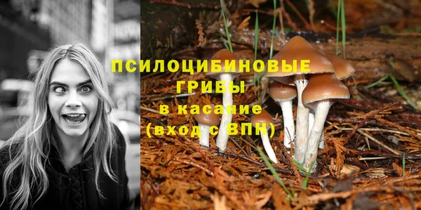 гашишное масло Осинники