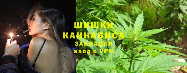 стаф Осташков