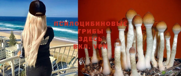 гашишное масло Осинники