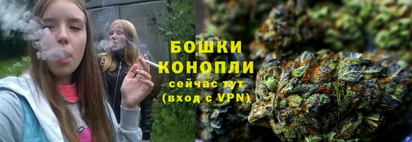 стаф Осташков